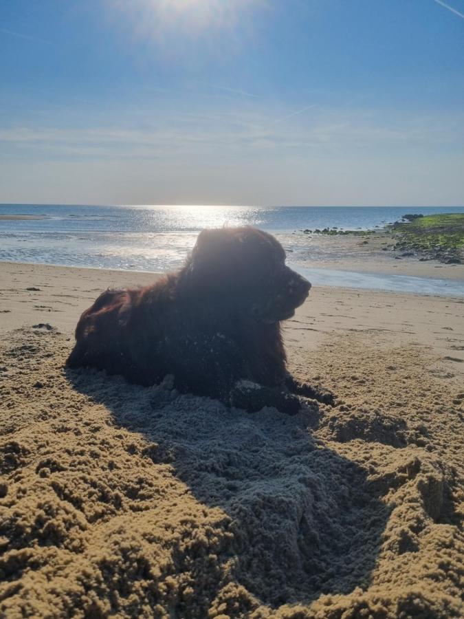 Meerblick Wattenmeer ,50m vom Meer,Strand 300m Westerland Exterior foto